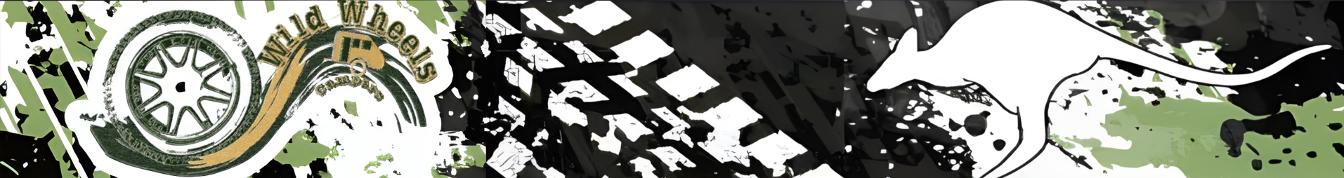 Wild Wheels Campers Caravan